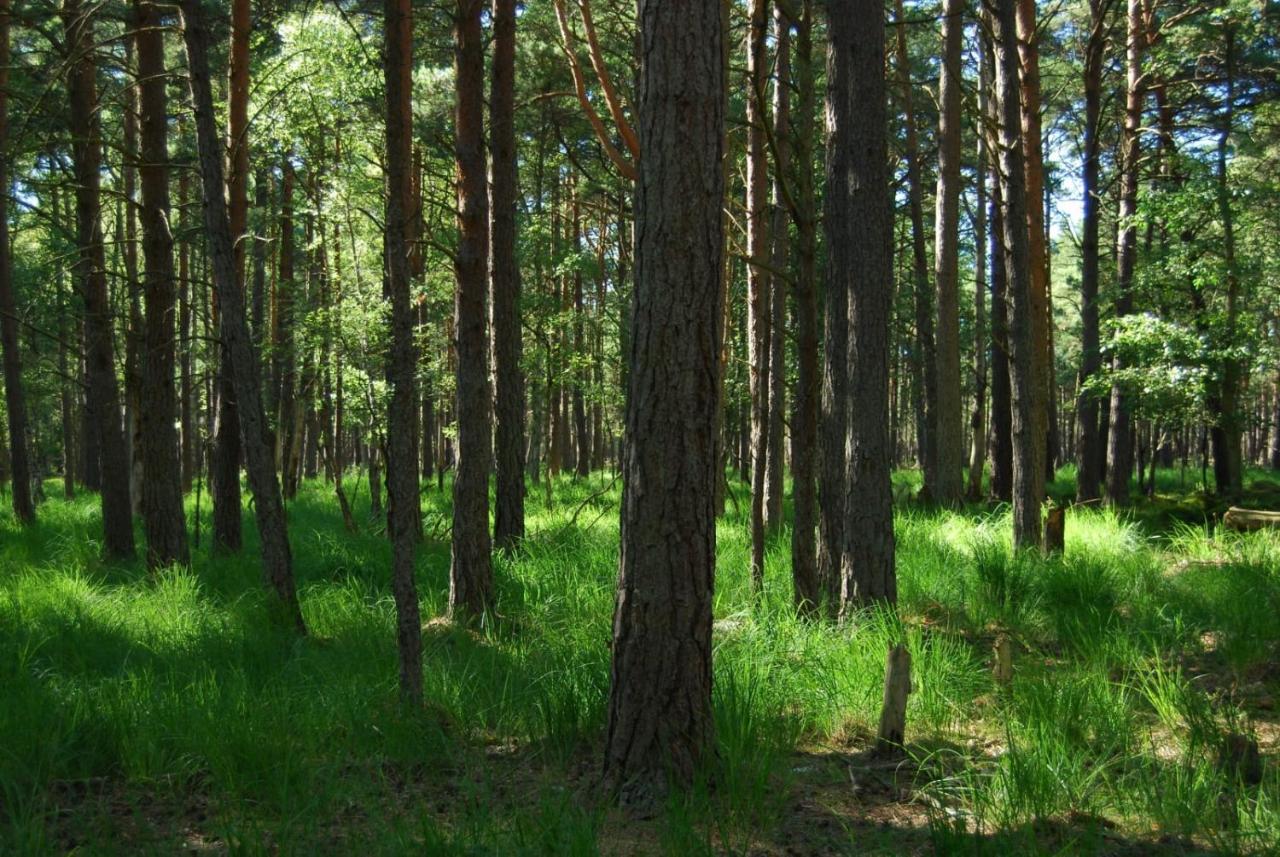 Z Widokiem Na Wydme Villa Lokciowe Buitenkant foto
